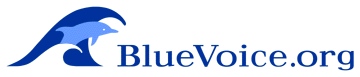 BLUE VOICE LOGO
