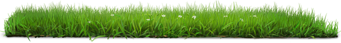 earthday-2013-footer-grass copy