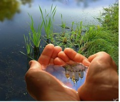 1-1 HAND REFLECTION