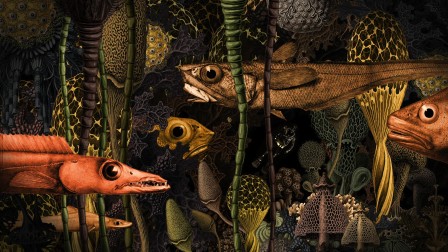 “The Diver”, winning animation film by Damon Mohl