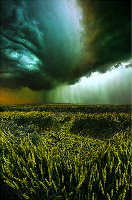 STORMY DAY & FIELD copy