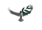 DOVE-ANI