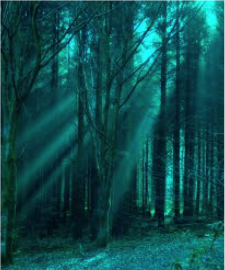 “Moonbeams”, photo by J.E.S.