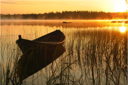 Photo by Veikko-Suikkanen