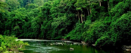 Borneo-Danum-Valley