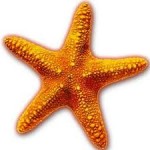 STARFISH 1