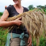 woman and wheat