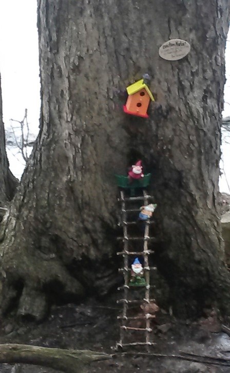 GNOME HOME by