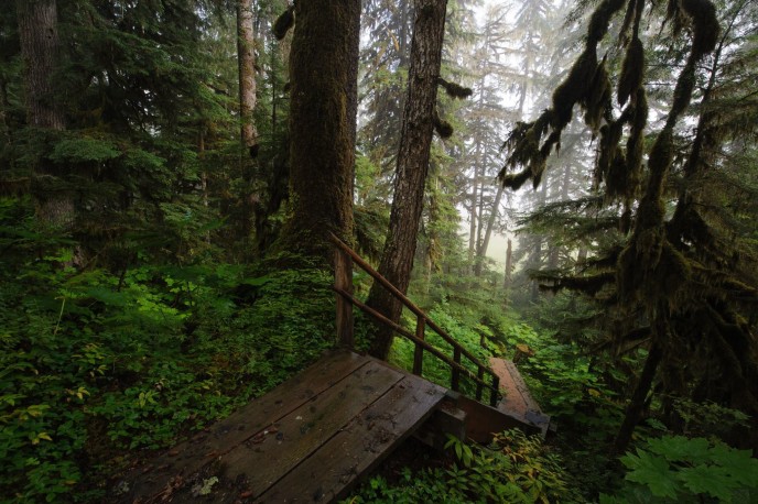 tongassnationalforest