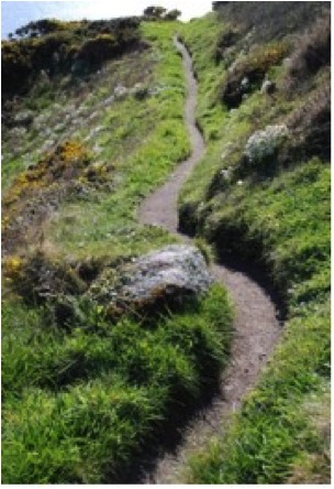 CORNWALL PATH BIGGER