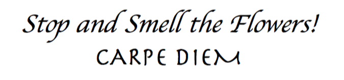 carpe diem
