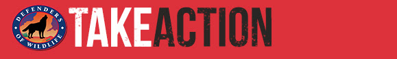 Defenders of Wildlife logo