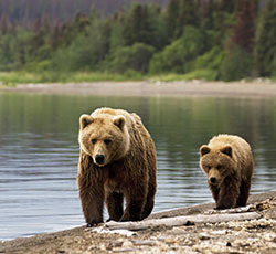 GRIZ & CUB @ RIVER